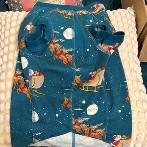 Hanna Andersson Teal Pajamas with Reindeer and Moon